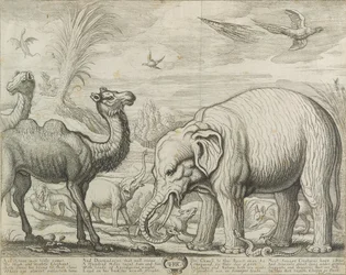Afrika, 1672