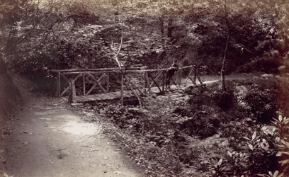 Colwyn Bay. Rustik bro i skoven, 1870