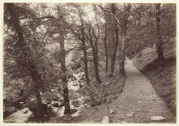 Dolgelley, Udsigt i Torrent Walk