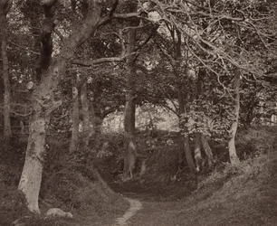 Glen Kenilworth, ca. 1868 (foto)