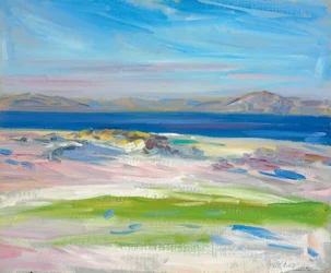 Udsigten over det hvide sand, Iona