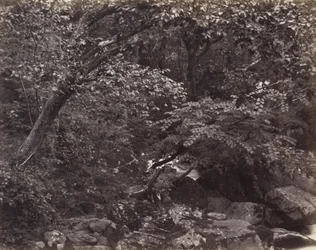 Glen i Lynmouth, 1860