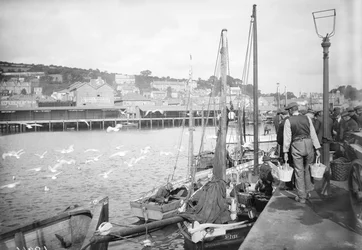 Newlyn havn og fiskekaj, Cornwall