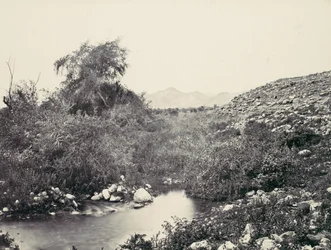 Jerico-fontænen og byens sandsynlige sted, ca. 1857.