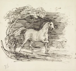 En grå hest, der traver ud af en skov