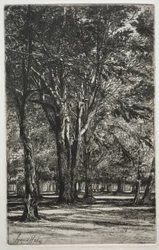 Kensington Gardens (Den Store Plade)