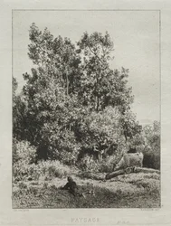Landskab