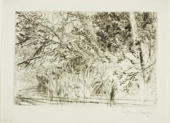 Munden af en bæk, nr. II