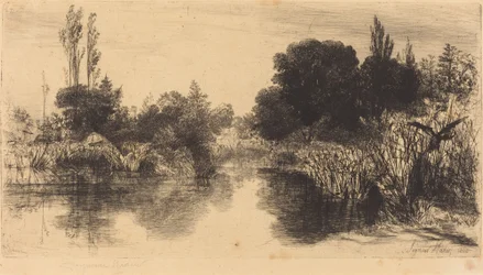 Shere Mill Pond (den større plade)