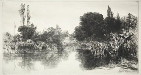 Shere Mill Pond (den større plade)