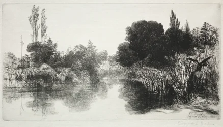 Shere Mill Pond, nr. 11 (Den store plade)