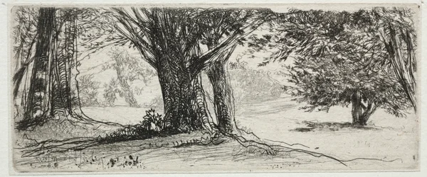 Holly Field