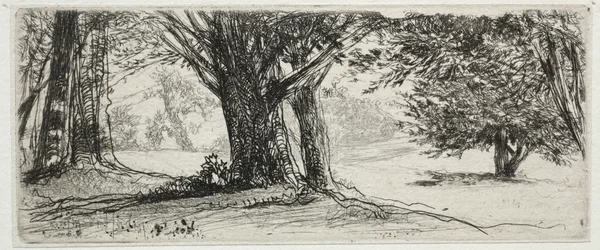 Holly Field.