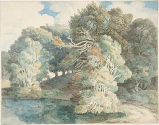 Træer ved søen, Peamore Park, nær Exeter, Devon
