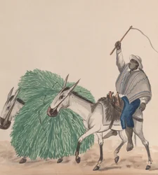 En mand, der rider på et muldyr, hans pisk hævet, et andet muldyr lastet med græs ved siden af..., ca. 1848.