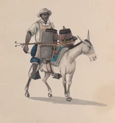 En vandvogn, der rider på et æsel, fra en gruppe tegninger, der forestiller peruviansk kostume, ca. 1848.