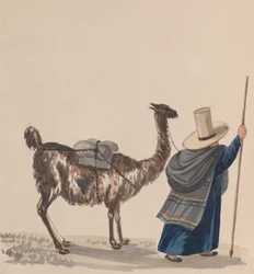 En kvinde, der går med en lama, fra en gruppe tegninger, der viser peruviansk kostume, ca. 1848.