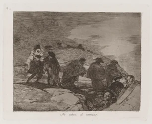 They Do Not Know the Way, Plade 70 fra The Disasters of War