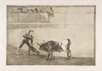 Tauromachiaens plade 30: Peter Rosemary dræber den standsede tyr.,