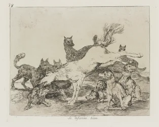 Han forsvarer sig godt. (Han forsvarer sig godt.), pl. 78 fra serien The Disasters of War
