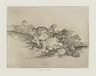 Det sker altid. (Det sker altid.), pl. 8 fra serien The Disasters of War