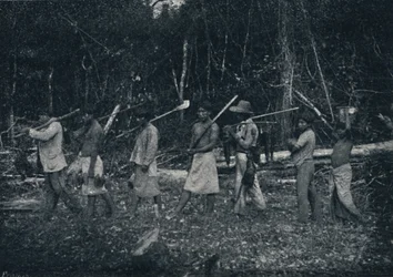 Guarany-indianere, vender tilbage fra en Caþada, 1895