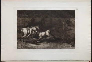 Tyrefægtning: Mariano Ceballos, Alias the Indian, Kills the Bull From his Horse, 1876.