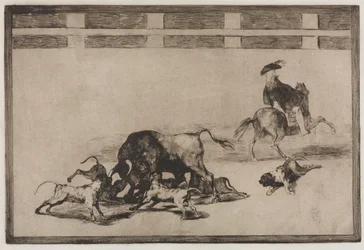 Tyrefights: They Loose Dogs on the Bull, 1876.