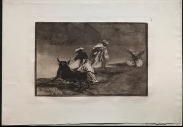 Tyrefights: They Play Another with the Cape in an Enclosure, 1876.