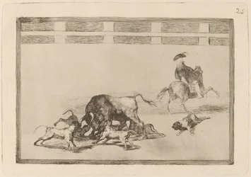 Echan perros al toro (De løse hunde på tyren)