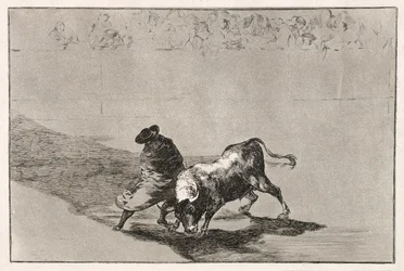 Falkens kloge elev gør tyren rasende ved at bevæge sig indhyllet i sin kappe, 1814-16