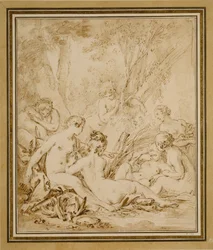 Diana og Callisto