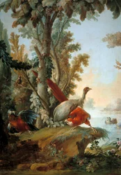 Hejrer og papegøjer Maleri af Francois Boucher (1703-1770)