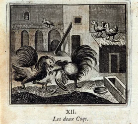 De to haner. Fabler af Jean de La Fontaine (1621-95). Illustration af François Chauveau (1613-1676). Udgave fra 1728.