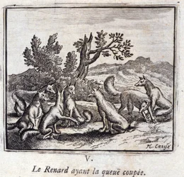 Illustration fra 
