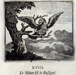 Milano og Nattergalen. Fabler af Jean de La Fontaine (1621-95). Illustration af Francois Chauveau (1613-1676). Udgave af 1728.