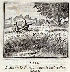 Alouette og hans små børn sammen med mesteren på en mark. Fabler af Jean de La Fontaine (1621-95). Illustration af François Chauveau (1613-1676). Udgave fra 1728.