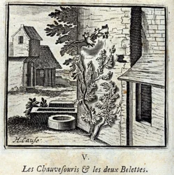 Flagermusen og de to Væsler. Fabler af Jean de La Fontaine (1621-95). Illustration af François Chauveau (1613-1676). Udgave af 1728.
