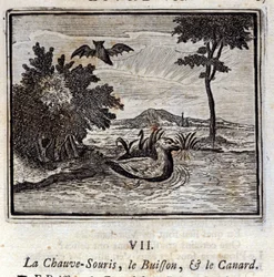 Flagermusen, Bushen og Anden. Fabler af Jean de La Fontaine (1621-95). Illustration af François Chauveau (1613-1676). Udgave af 1728.