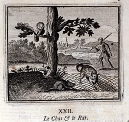 Katten og Rotten. Fabler af Jean de La Fontaine (1621-95). Illustration af Francois Chauveau (1613-1676). Udgave af 1728.