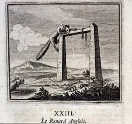 Den engelske ræv. Fabler af Jean de La Fontaine (1621-95). Illustration af François Chauveau (1613-1676). Udgave af 1728.