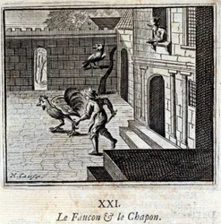 Falken og Kaponen. Fabler af Jean de La Fontaine (1621-95). Illustration af François Chauveau (1613-1676). Udgave af 1728.