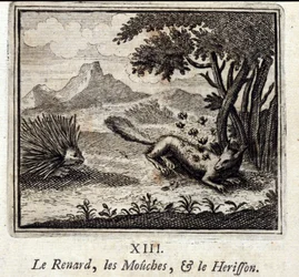 Ræven, Fluerne og Herisson. Fabler af Jean de La Fontaine (1621-95). Illustration af François Chauveau (1613-1676). Udgave af 1728.