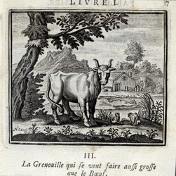 Frøen, der vil blive lige så stor som oksekødet. Fabler af Jean de La Fontaine (1621-95). Illustration af François Chauveau (1613-1676). Udgave af 1728.