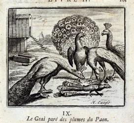 Jay pryder påfuglefjer. Fabler af Jean de La Fontaine (1621-95). Illustration af François Chauveau (1613-1676). Udgave af 1728.