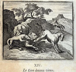 Løven blev gammel. Fabler af Jean de La Fontaine (1621-95). Illustration af Francois Chauveau (1613-1676). Udgave af 1728.