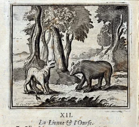 Løvinden og bjørnen. Fabler af Jean de La Fontaine (1621-95). Illustration af François Chauveau (1613-1676). Udgave af 1728.