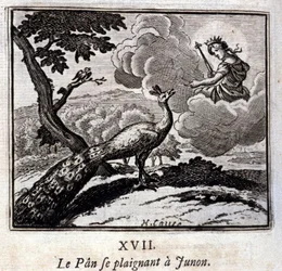 Påfuglen, der klager til Juno. Fabler af Jean de La Fontaine (1621-95). Illustration af François Chauveau (1613-1676). Udgave fra 1728.