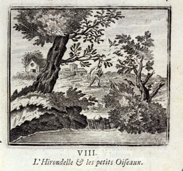 Svalen og de små fugle. Fabler af Jean de La Fontaine (1621-95). Illustration af François Chauveau (1613-1676). Udgave fra 1728.