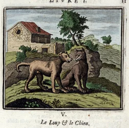 Ulven og Hunden. Fabler af Jean de La Fontaine (1621-1695). Illustration af Francois Chauveau (1613-1676). Udgave af 1728.